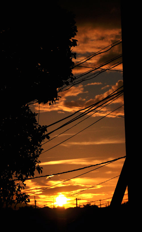 夕陽２