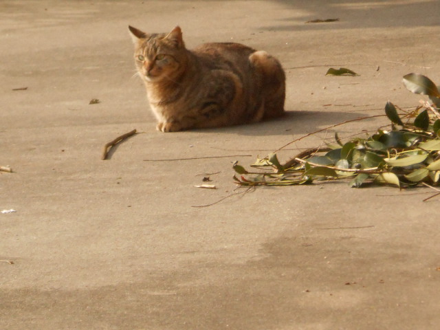 DSCN0947.JPG