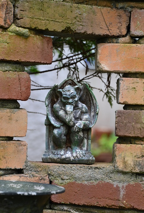 DSC_0247.JPG