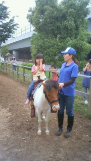 201205201354000.jpg