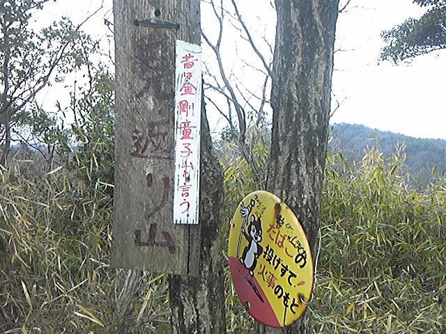 130113_115802.jpg