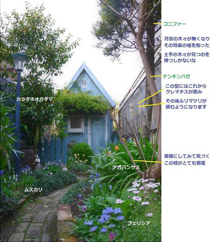 爽やか色の春の寄せ植え | ポケットの中の幸せ
