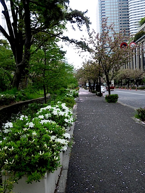 120426_134625.jpg