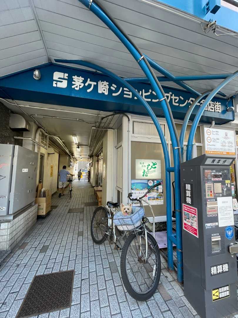 ヨーキー モアナの茅ヶ崎生活 茅ヶ崎珈琲倶楽部 魚卯丸 としだ 8sai 中央公園 島忠 ヨーキー モアナの茅ヶ崎生活 楽天ブログ