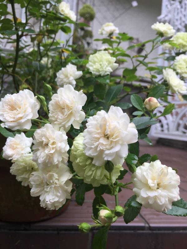 rblog-20160718234419-02.jpg