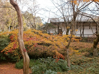 京都　常照寺