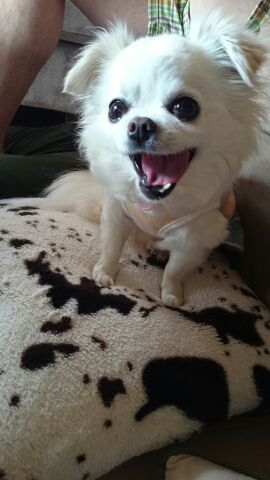 rblog-20140517125158-01.jpg