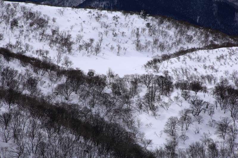 蓬莱山_006.jpg