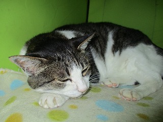 IMG_4408ss.jpg