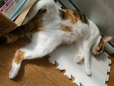 画像 4116.jpg
