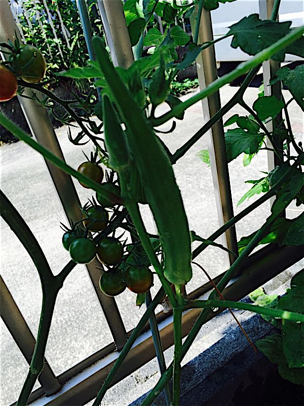 rblog-20150727154510-04.jpg