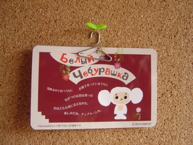 DSC00460.JPG