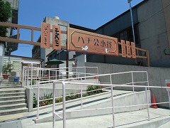 CIMG2667.jpg