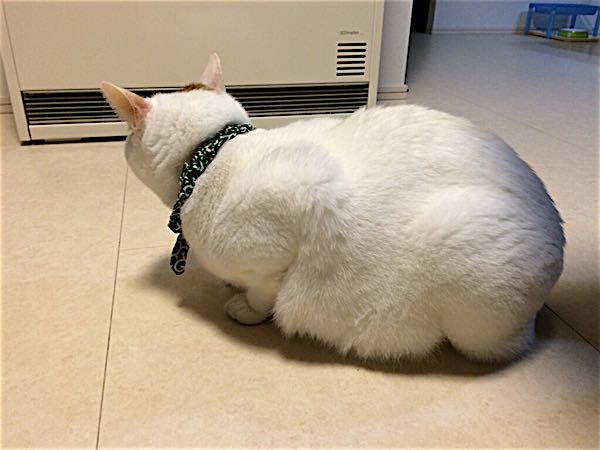 rblog-20141112063213-02.jpg