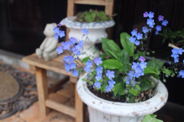 rblog-20150520184409-00.jpg