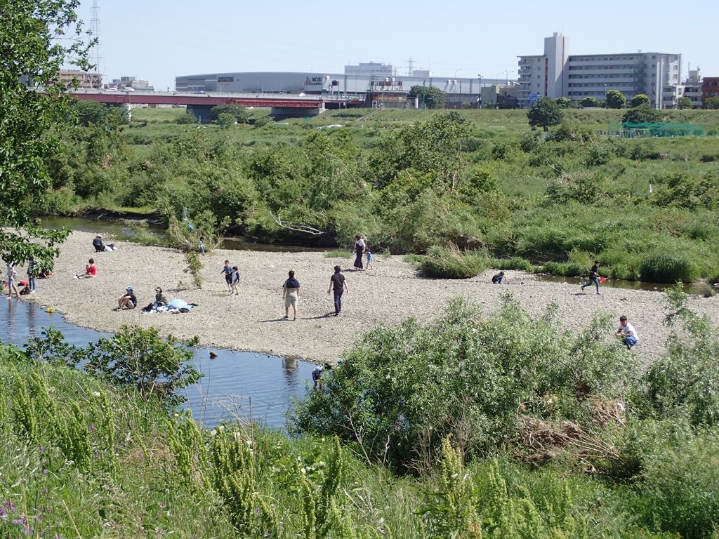 天気が良いと出掛けたくなる病 ボケないための日記のようなモノ 楽天ブログ