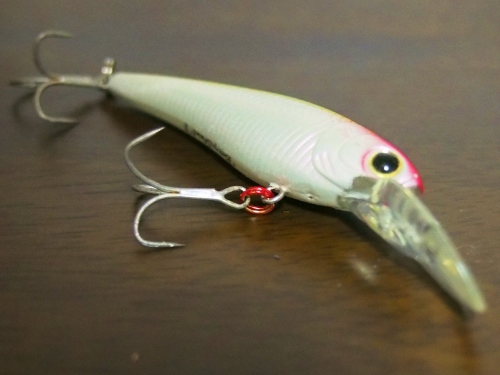 P4270195 (500x375).jpg