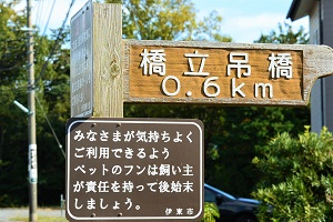 橋立吊り橋