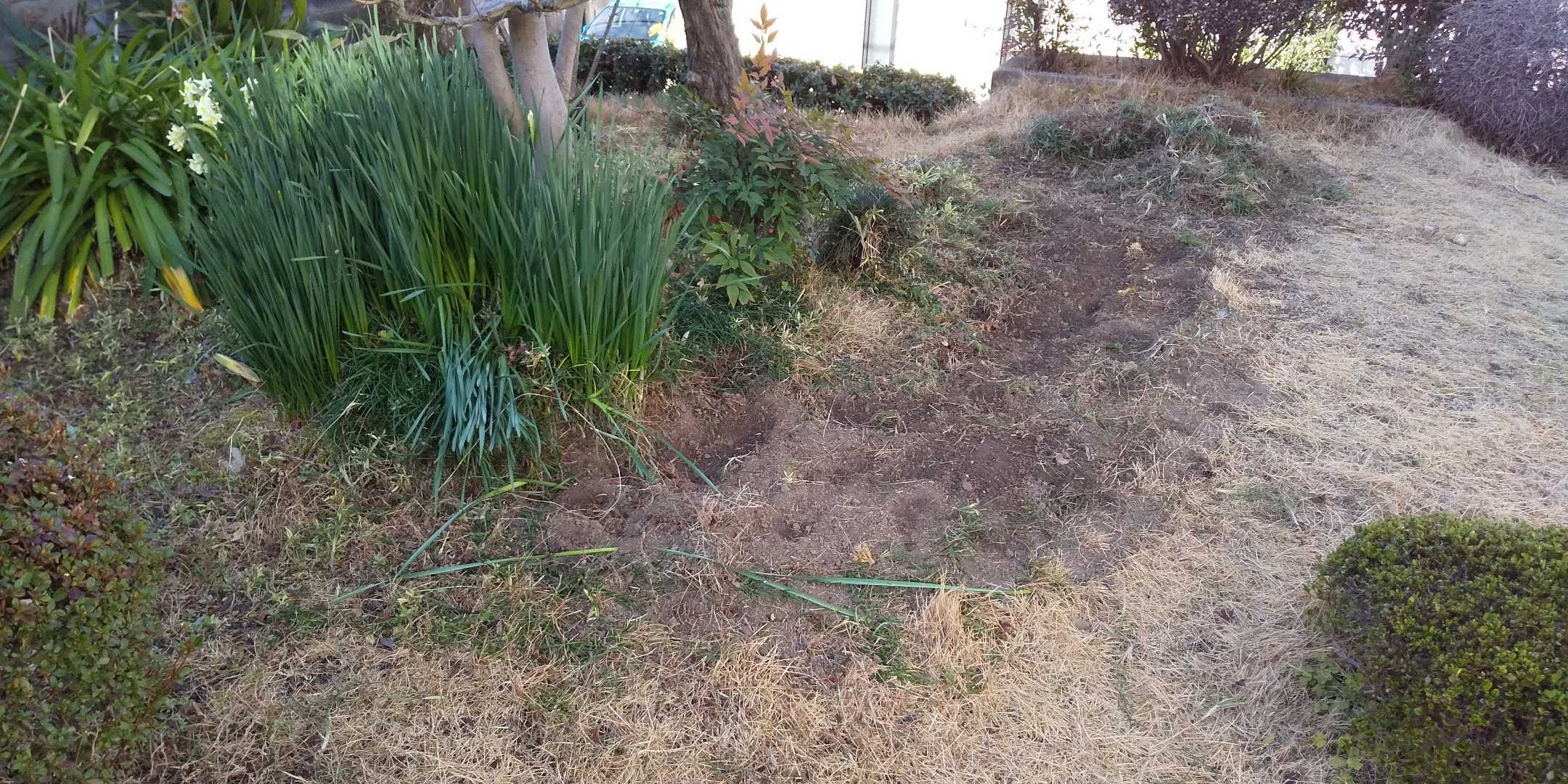 庭 マイライフ 楽天ブログ