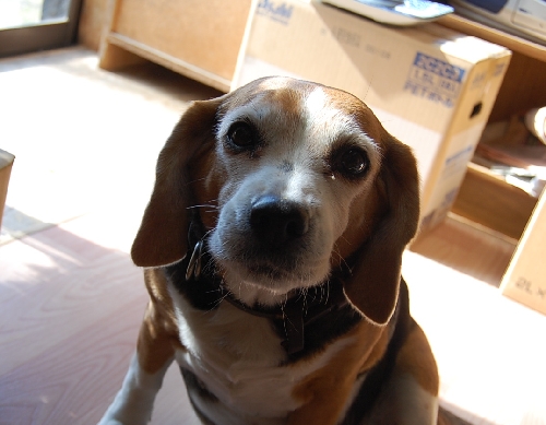 DSC_0041.JPG