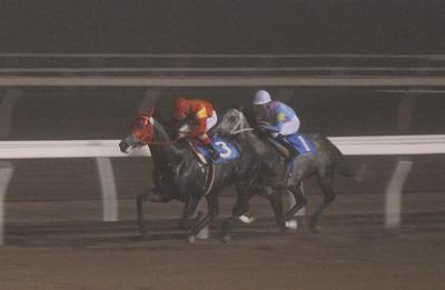 門別スプリント1