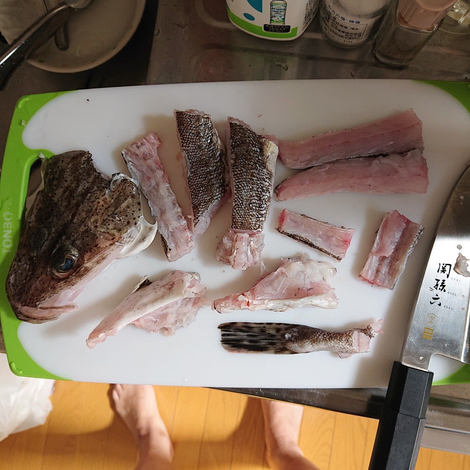 懲りずにマゴチ釣り 初の魚捌き コチタローの今日も釣れない でもやっぱ釣りが好き Q 楽天ブログ