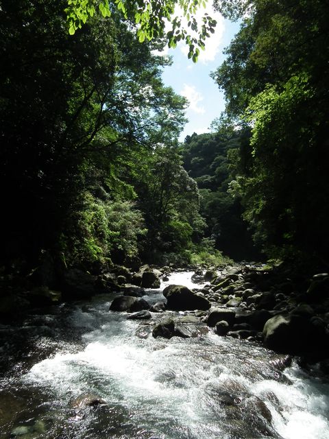 DSCF5744.JPG