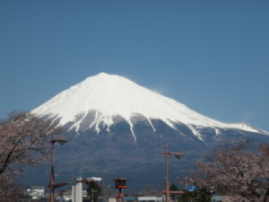 桜と富士山300.jpg