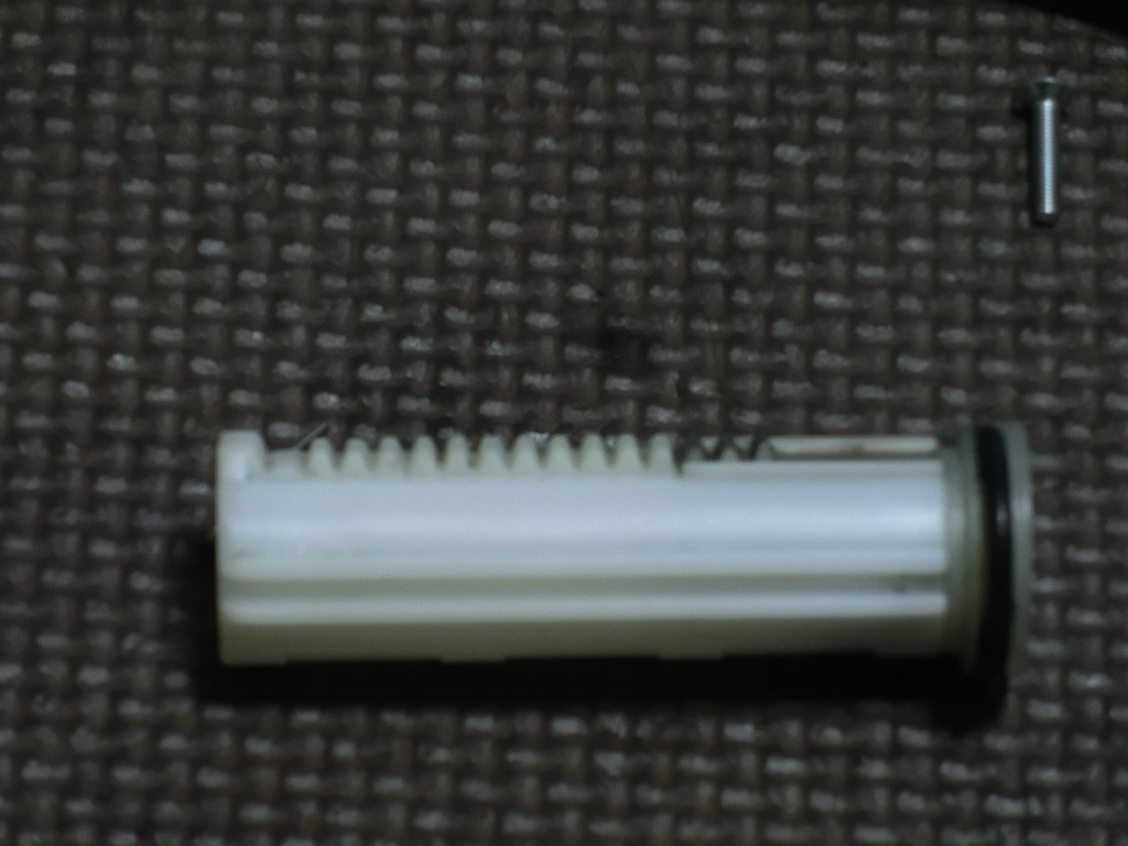 CIMG4009.jpg