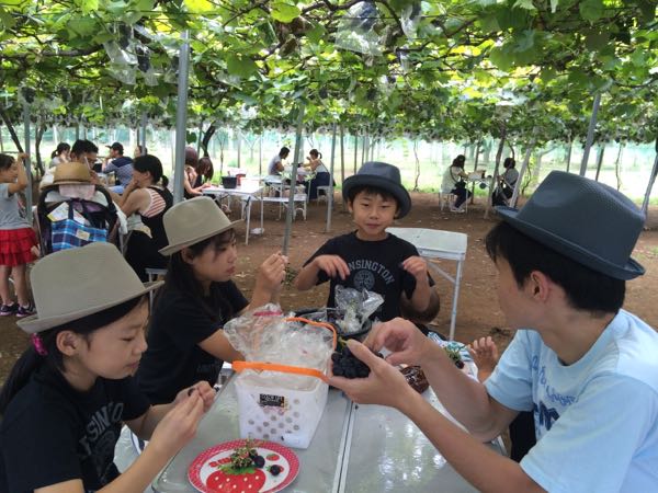 rblog-20150817004106-00.jpg
