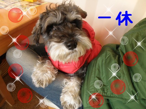 一休.JPG