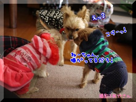 あや2.jpg