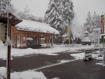 DSCN6230.jpg