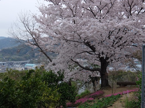 DSCF0422.JPG