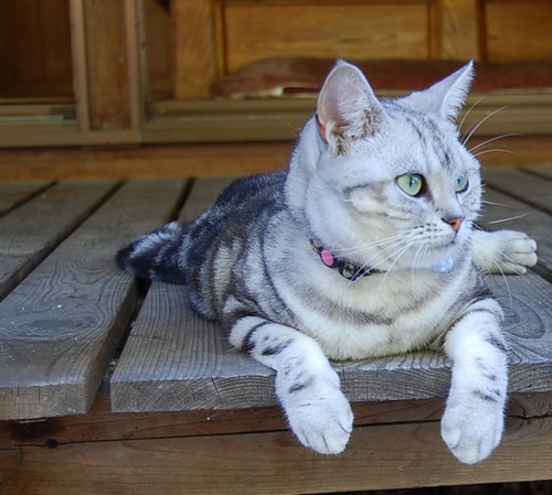 DSC_0153.JPG