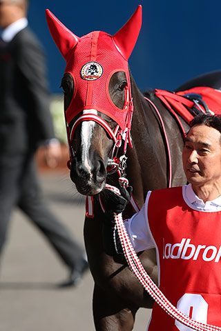 11ページ目の 横川典視 地方競馬の楽天競馬 日替わりライターブログ 楽天ブログ