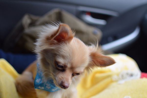 rblog-20140408212253-03.jpg