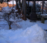 DSC07800.jpg