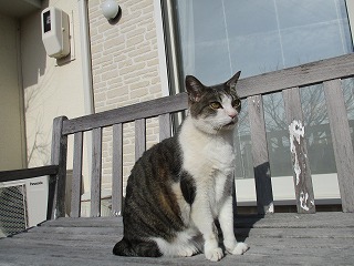 IMG_5294ss.jpg