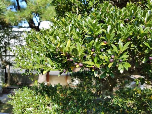 rblog-20181021190148-03.jpg