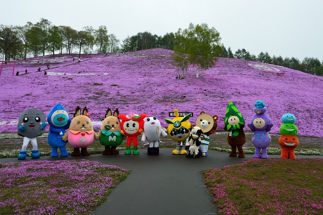 オホーツク　大空町　東藻琴　芝桜公園　芝桜　８