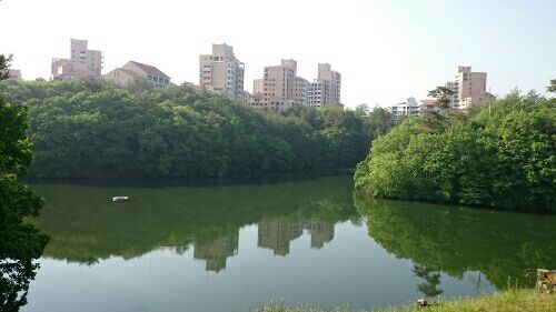 rblog-20170512222456-02.jpg