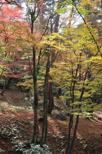 寺家公園