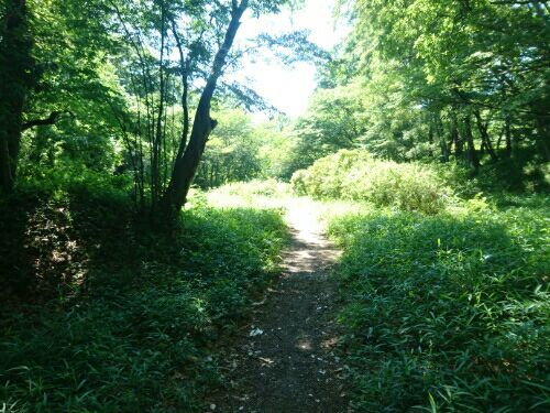 rblog-20180705001138-05.jpg