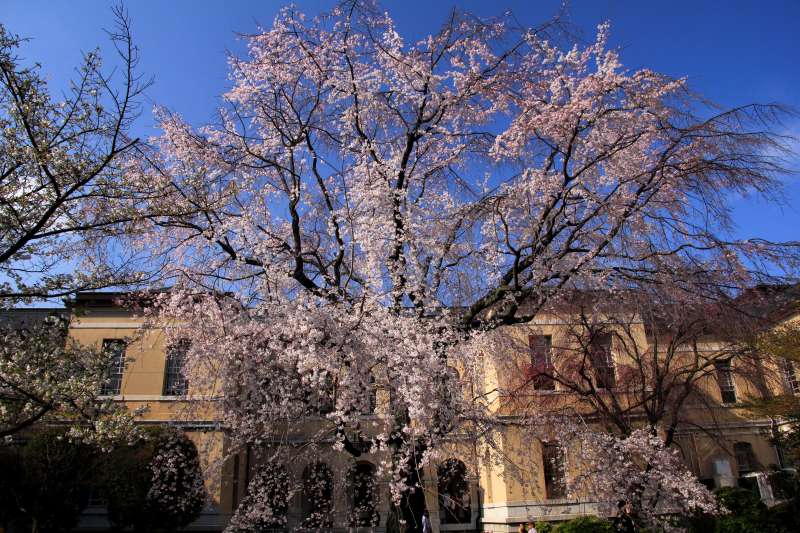 京都府庁旧本館_003.jpg
