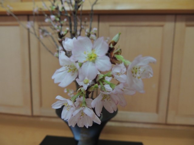 7822.jpg