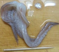 イカ飯　２