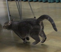 5DA_7534-17.jpg