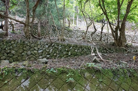 DSC07334.JPG
