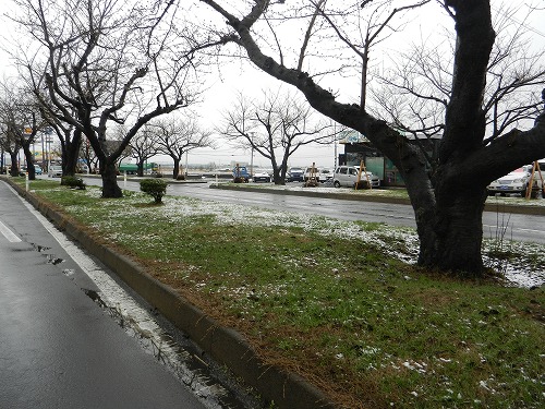 DSCN9973.jpg